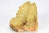Sunshine Cactus Quartz Crystal Cluster - South Africa #212631-1